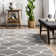 Hayler Geometric Area Rug for Living Room Bedroom Dining Room Kitchen