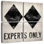 Sirci experts seulement blanc