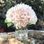 Arrangement de hortensia en vase-1487296951