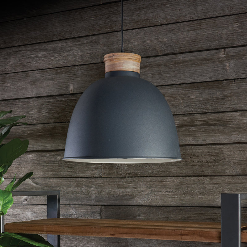 1-Light Inverted Pendant