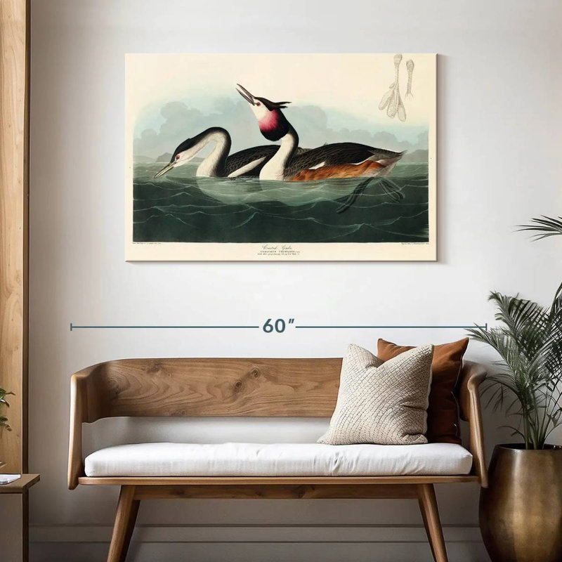 Brampt Crested Grebe, 30" H x 45" W
