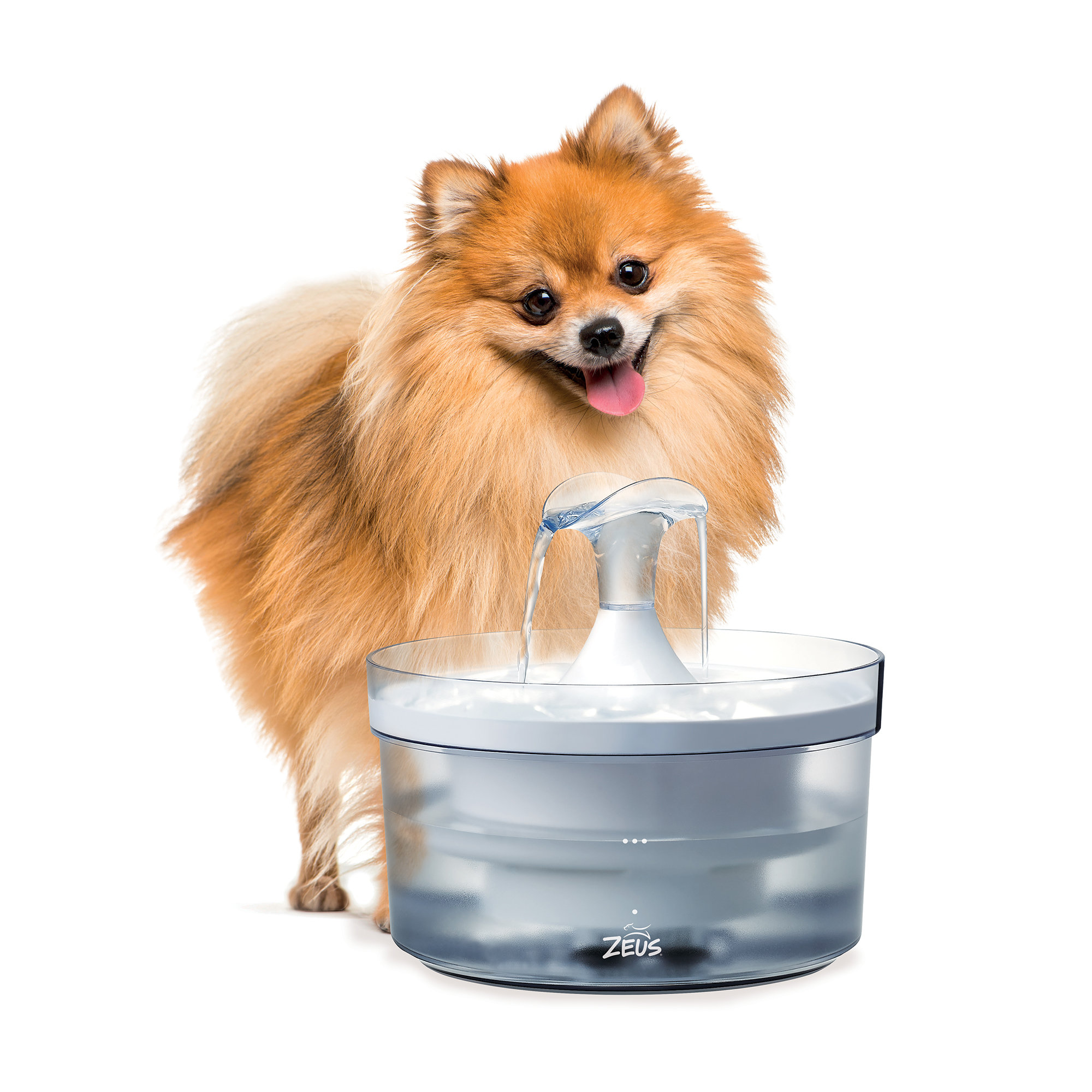 Fresh water for outlet dogs