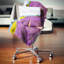 Coussin Schafer-459739695-459739680