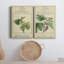 Linnaean Botany V, toile tendue avec châssis de qualité supérieure - prête à être accrochée-1296181951