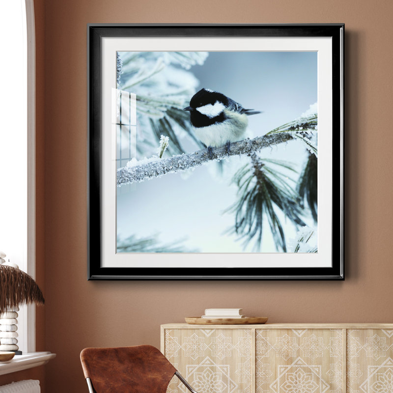 Frosty Perch - Impression de cadre photo sur papier, H 26,5 po x l 26,5 po x P 1,5 po, Noir