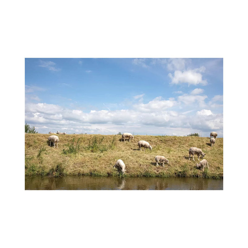 Grazing Sheep by Clara Bastian - Wrapped Canvas Print, 20.32 cm H x 30.48 cm W