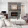 SpectraFire Plus Electric Fireplace Insert