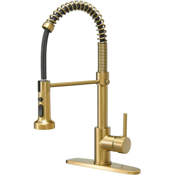 LIYONG Kitchen Faucet | Wayfair