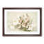 Magnolia Flowers Illustration Tab. 29 by Frederick Sander - Framed Print-55577428-55577429