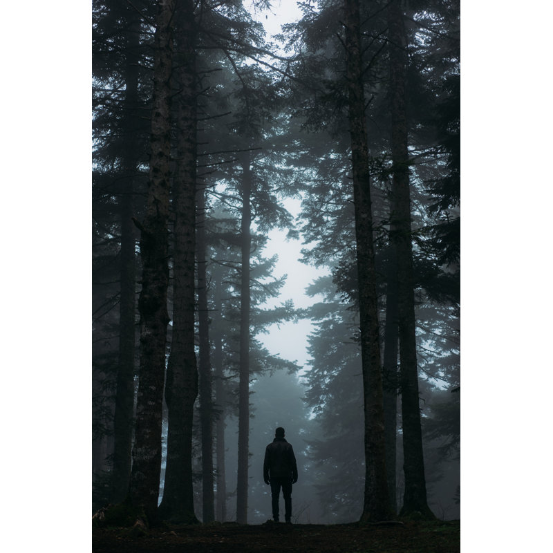 Footpath In Dark And Misty Autumn Forest - Wrapped Canvas Print, 122cm H x 81cm W x 3.8cm D