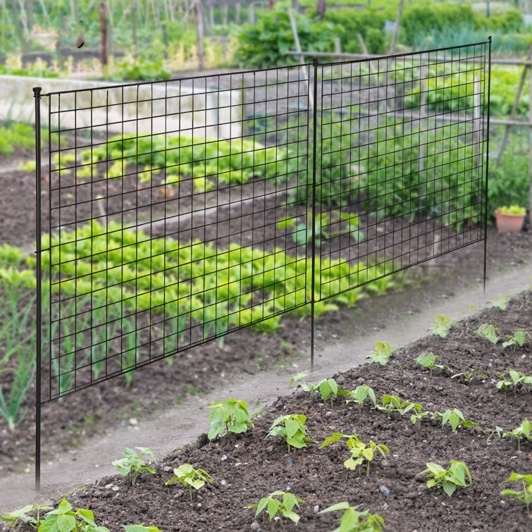 Chicken-wire fence panels for garden bed