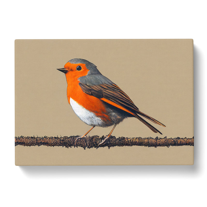 Tremendous Robin Bird - Wrapped Canvas, 35cm H x 50cm W x 3cm D