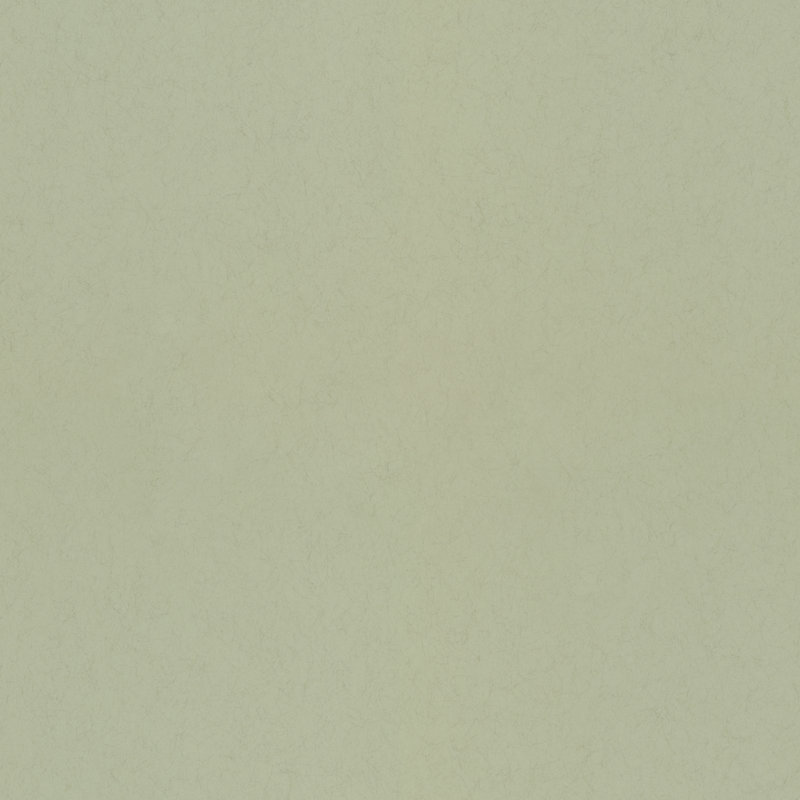 Fagring 33cm x 53cm Matte Wallpaper Roll, Dark Green