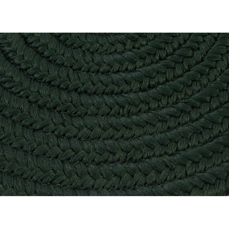 Tapis vert foncé réversible pour l'intérieur et l'extérieur Audryanna, Ovale 7 pi x 9 pi