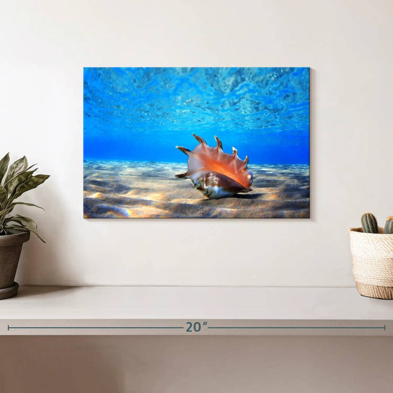 Aletra Seashell Treasure, 8" H x 12" W