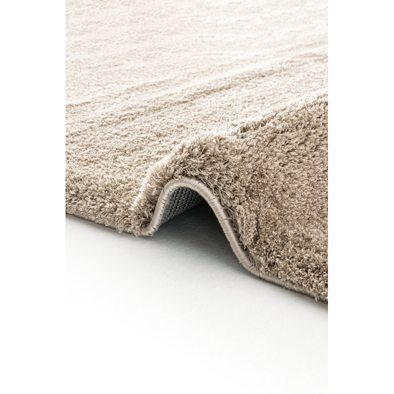 Rhodella Solid Colour Machine Made Indoor / Outdoor Area Rug, Rectangle 3'3" x 4'11"