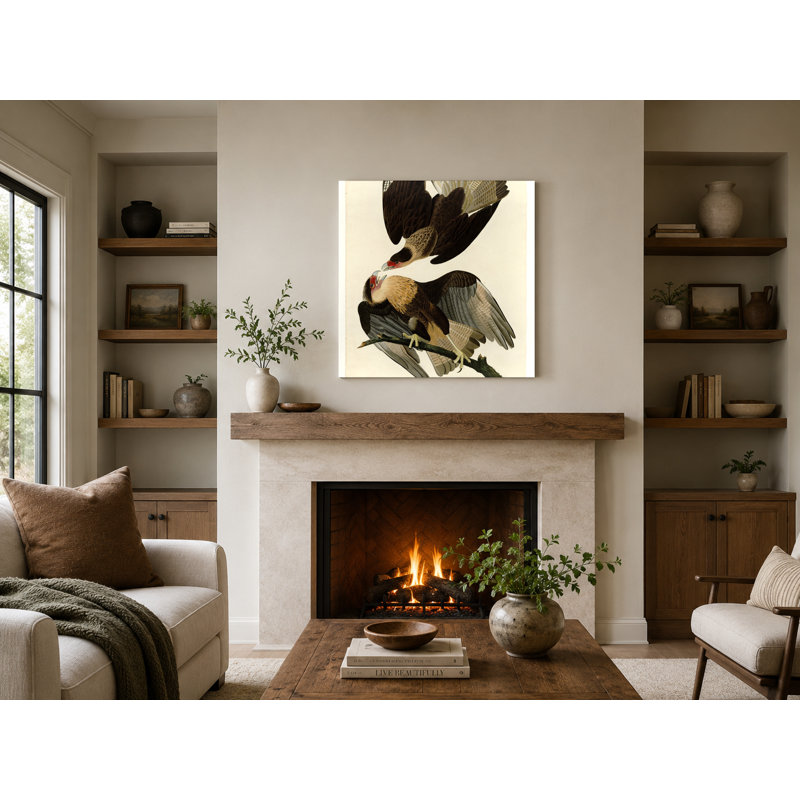 Caracara brésilien, aigle (planche 161), art mural carré sur toile, 16" W x 16" H