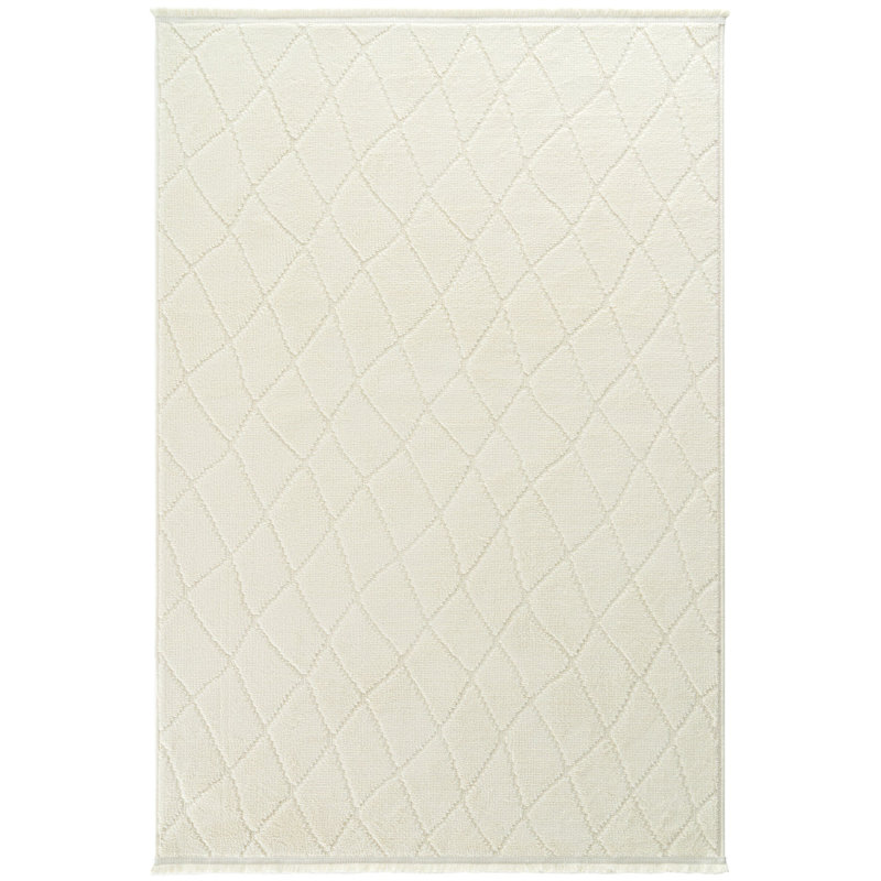 Reoven Machine Made Indoor / Outdoor Area Rug, Rectangle 2'8" x 6'7"