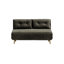 Varujhan 2 Seater Sofa Bed-1464465517-1464465506-1407565412