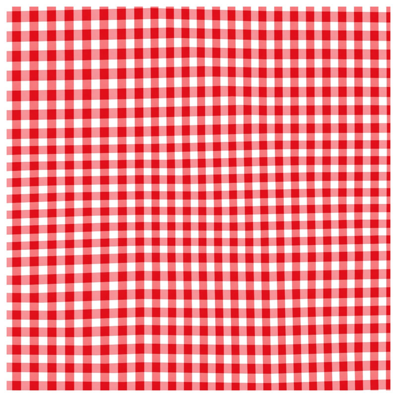 Tapis de bain rouge et blanc à motif vichy, 24in W x 17in L