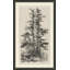 Tree Tops 3 Print