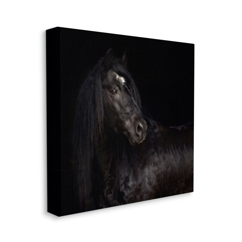 «Elegant Black Stallion» par PHBurchett - reproduction d'art sur toile tendue, H 36 po x l 36 po x P 1,5 po