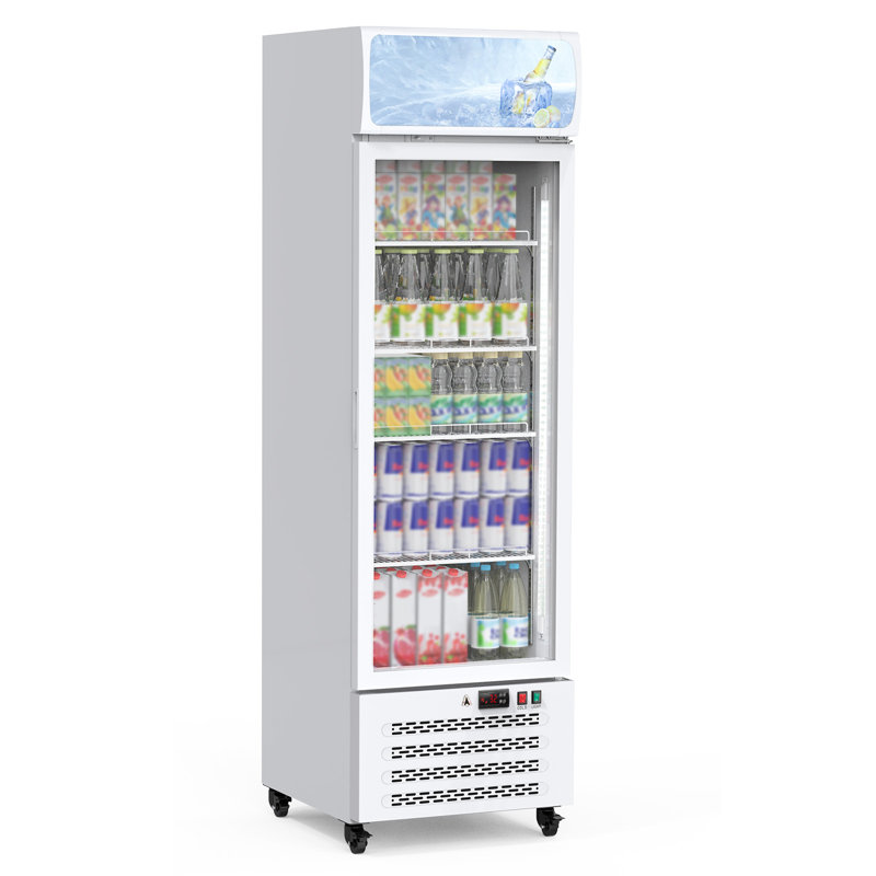 12 Cu.Ft Commercial Beverage Display Refrigerator with Glass Door, LED Lighting & Adjustable Shelves