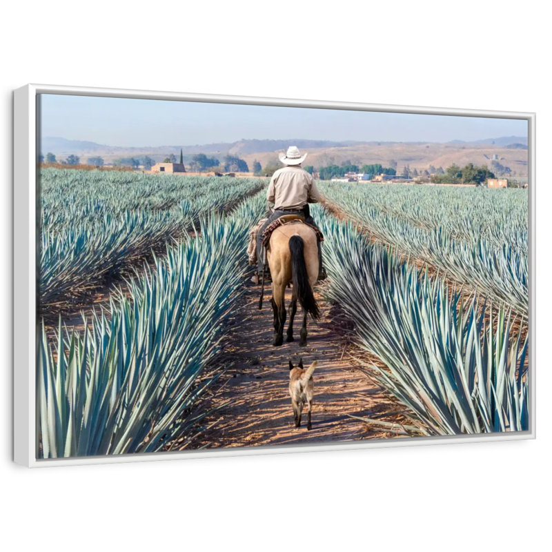Inspecter la plantation d'agave, Cadre flottant blanc, 46 po x 31 po