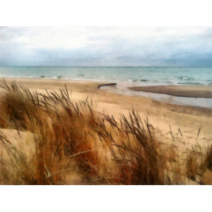 https://assets.wfcdn.com/im/55678158/resize-h300-w300%5Ecompr-r85/2326/232600219/%22+Pier+Cove+Beach+With+Autumn+Grasses+%22+by+Michelle+Calkins.jpg