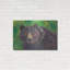 «Bear» par Carissa Luminess-604826506