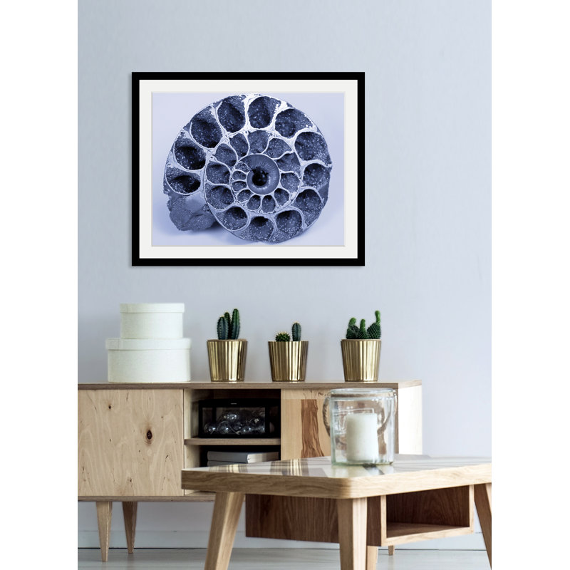 Shell 1 Piece Single Picture Frame Wall Art