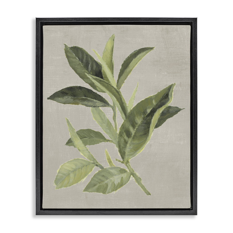 Cadre flottant feuille de thé vert, design par Lanie Loreth, H 31 po x l 25 po, Cadre flottant noir de jais