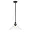 Luminaire suspendu conique 1 lumière Buzbee-2040123307