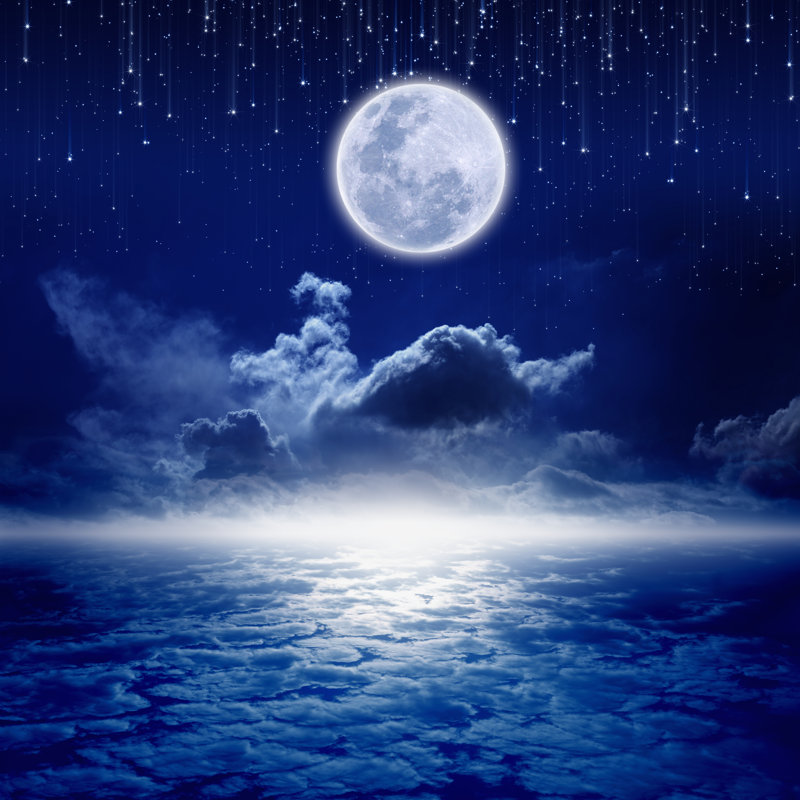Full Moon Night - Wrapped Canvas Print, 122cm H x 122cm W x 3.8cm D