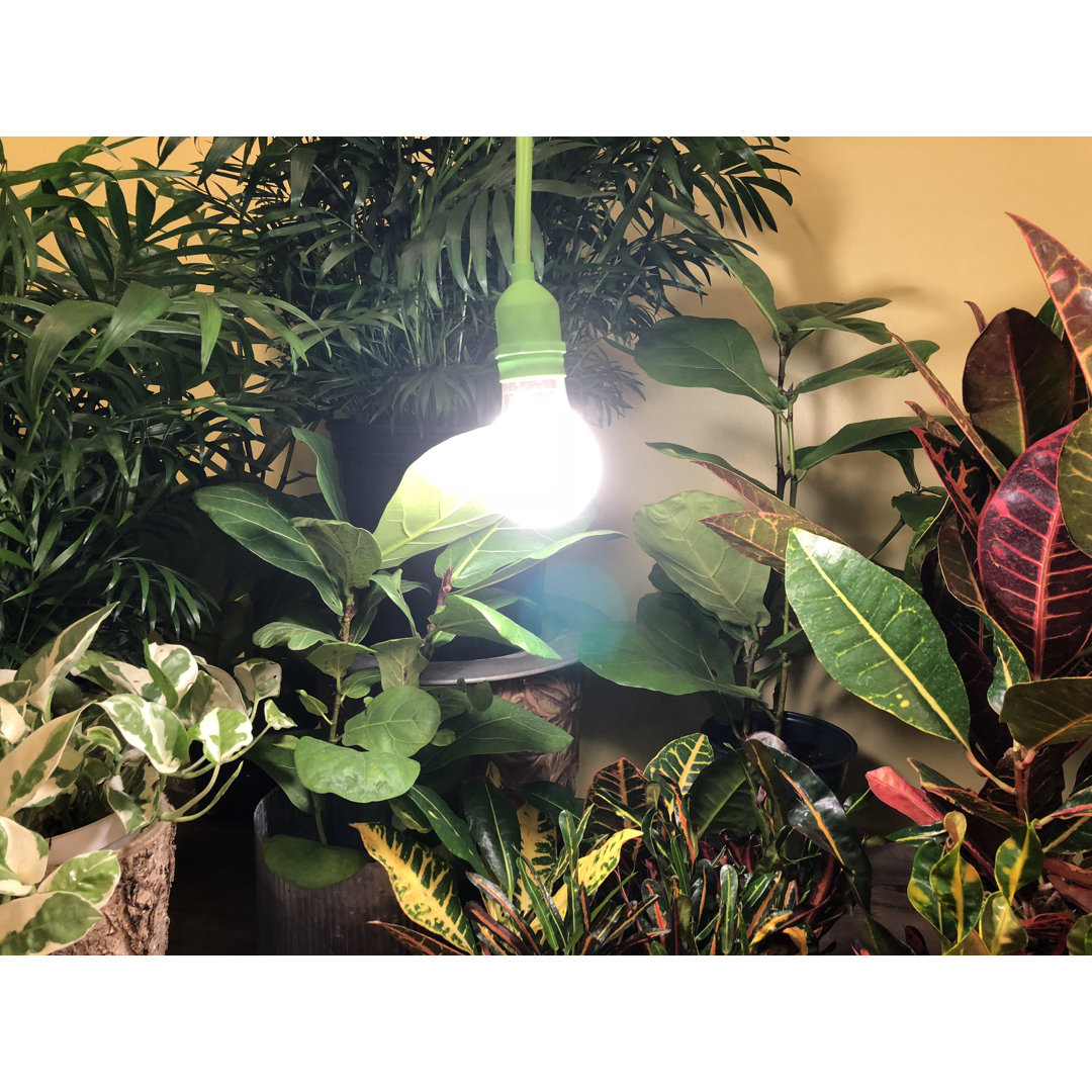 Miracle LED 9 Watt Grow Light (Set of 2) Miracle LED