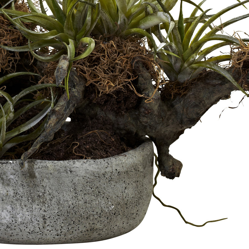 Orchid and Succulent Faux Floral in Vase