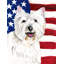 2 côtés en polyester de 2 côtés american drapeau de jardin-1288238399