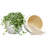 Leili Ceramic Pot Planter