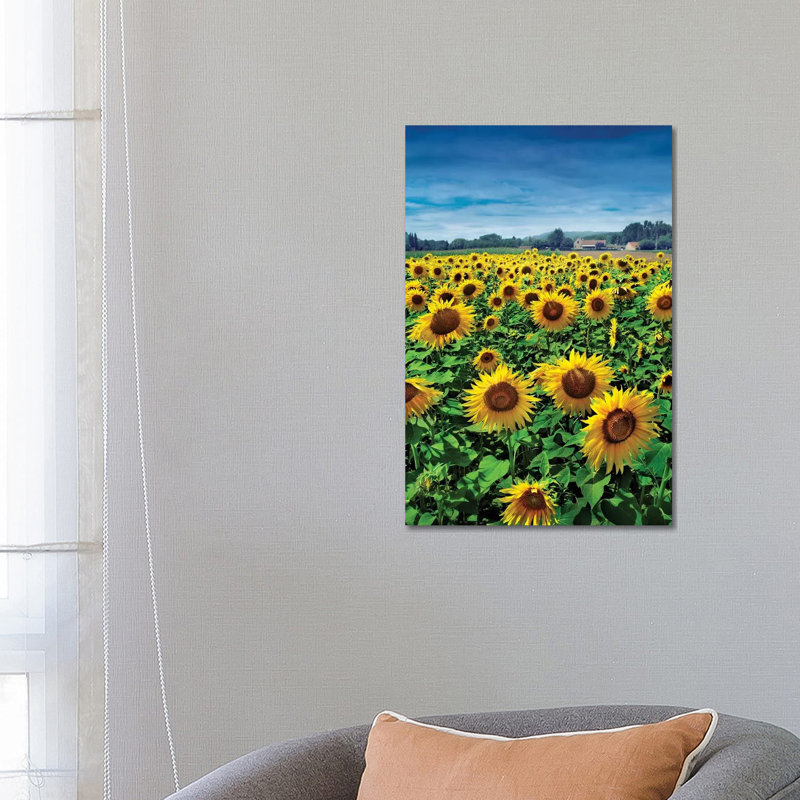 Turn Your Face To The Sun by Ben Heine - Print on Canvas, 66.04 cm H x 45.72 cm W x 1.91 cm D, Wrapped Canvas