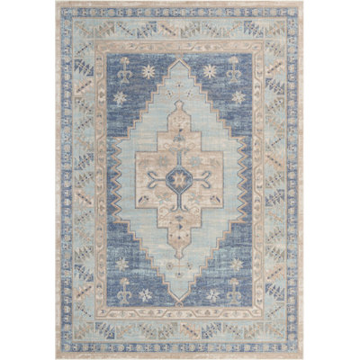 Matthei Oriental Indoor Rug