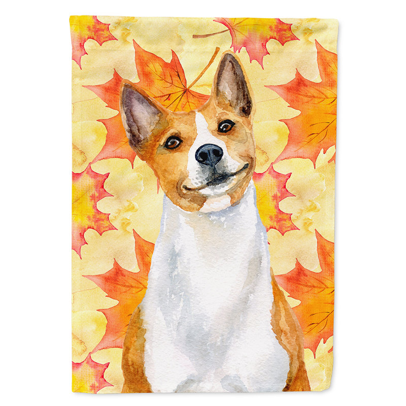 Double Sided 15'' H x 11'' W Polyester Animal Garden Flag, Basenji