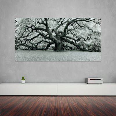 " The Angel Oak "