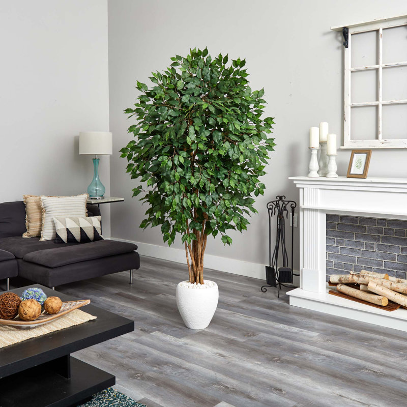 72'' Faux Ficus Tree in Ceramic Planter