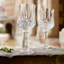 Longchamp 250ml Crystal Red Wine Glass-51572396