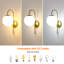 Armed Sconce