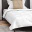 Microfiber Duvet Cover Set-1747808335