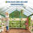 6x8 FT Greenhouse for Outdoors, Large Aluminum Greenhouses with Adjustable Roof Vent, Heavy Duty Greenhouse with Ground Nails, Walk-in Green Houses for Outside Garden, Backyard-122578042-122578043