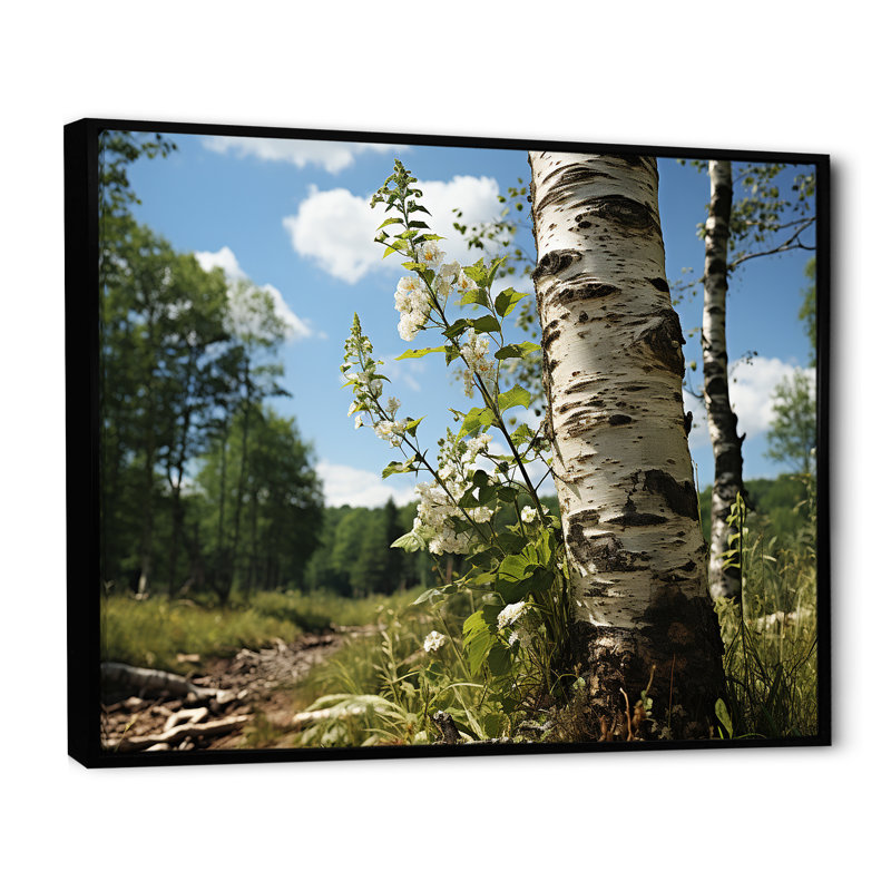 Birch Tree Forest Essence 3 - Art mural arbre, H 34 po x l 44 po x P 1,5 po, Cadre flottant noir
