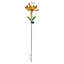 Piquet solaire-892735413