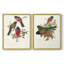 ElegantTrogonsIX - reproduction encadrée de qualité supérieure - prête à être accrochée - aucun clou requis - aucun clou requis-1574424709-1574424708